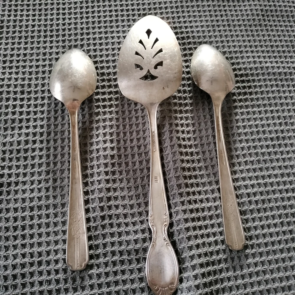 William Rogers Vintage Silverplated 1 Pie Server 2 Spoons Wild Rose Oneida